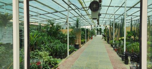 عکس بازار گل آجودانیه