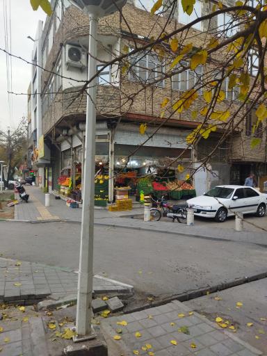 میوه فروشی