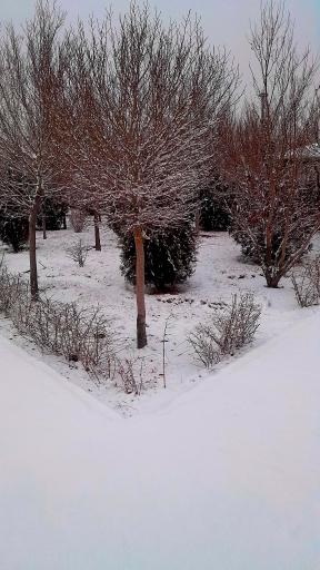 عکس پارک کوهستان اندیشه