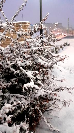 عکس پارک کوهستان اندیشه