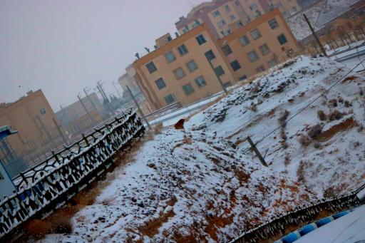 عکس پارک کوهستان اندیشه