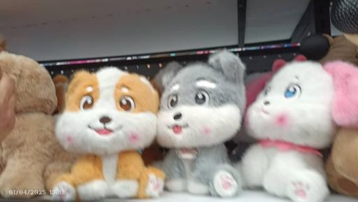 عکس فروشگاه بانی بن