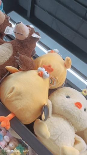 عکس فروشگاه بانی بن