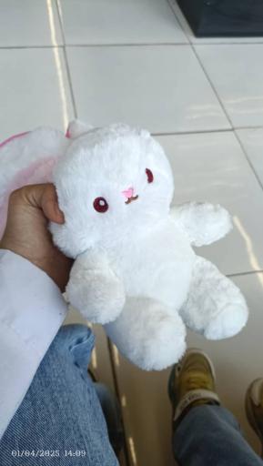 عکس فروشگاه بانی بن