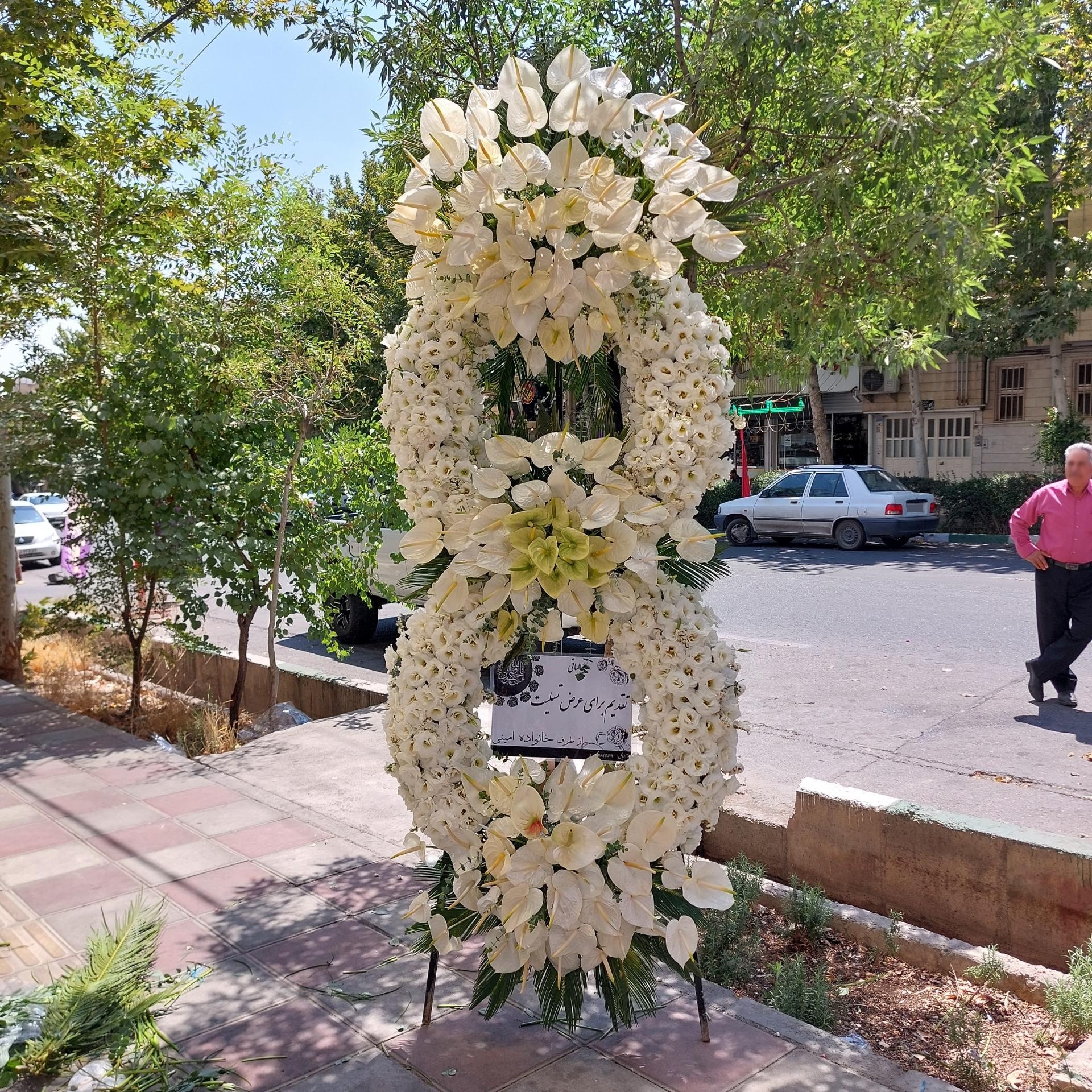 عکس گل فروشی آزالیا