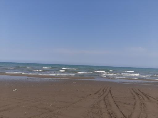 عکس ساحل عمومی شیرود 