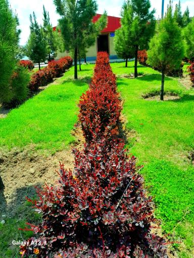عکس پارک کوهستان اندیشه