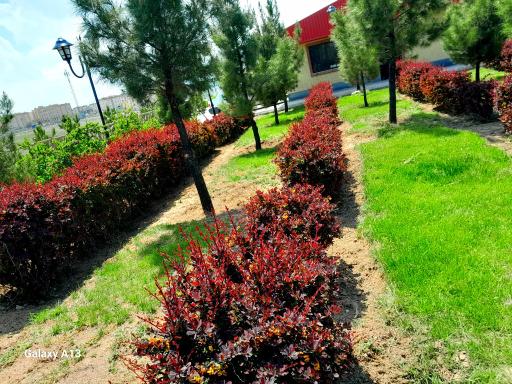 عکس پارک کوهستان اندیشه