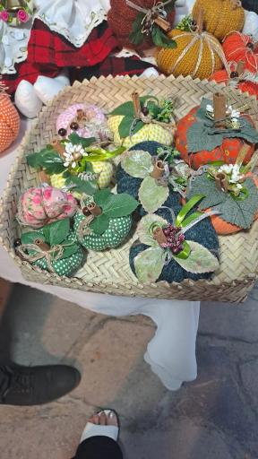 عکس گالری دنیا