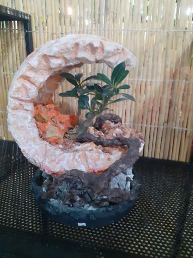 عکس بازار گل آجودانیه