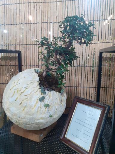 عکس بازار گل آجودانیه