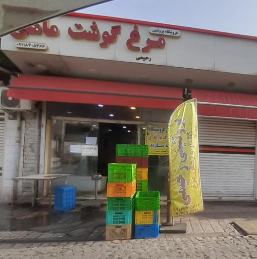 عکس مرغ و ماهی رحیمی