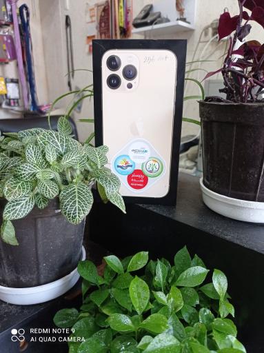 عکس موبایل تبسم