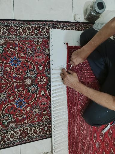 عکس قالیشویی پرسپولیس 