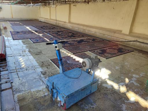 عکس قالیشویی پرسپولیس 