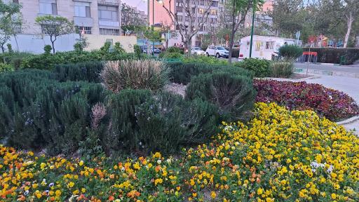 عکس بوستان دانش‌آموز