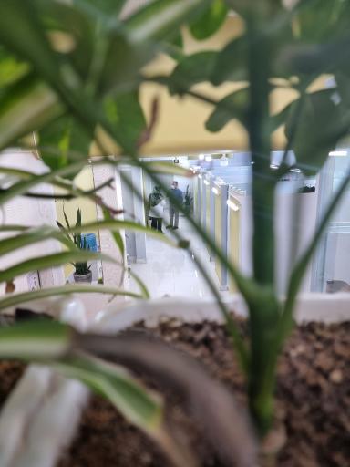 عکس مرکز فیزیوتراپی کیمیا