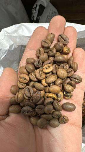 عکس قهوه کارون