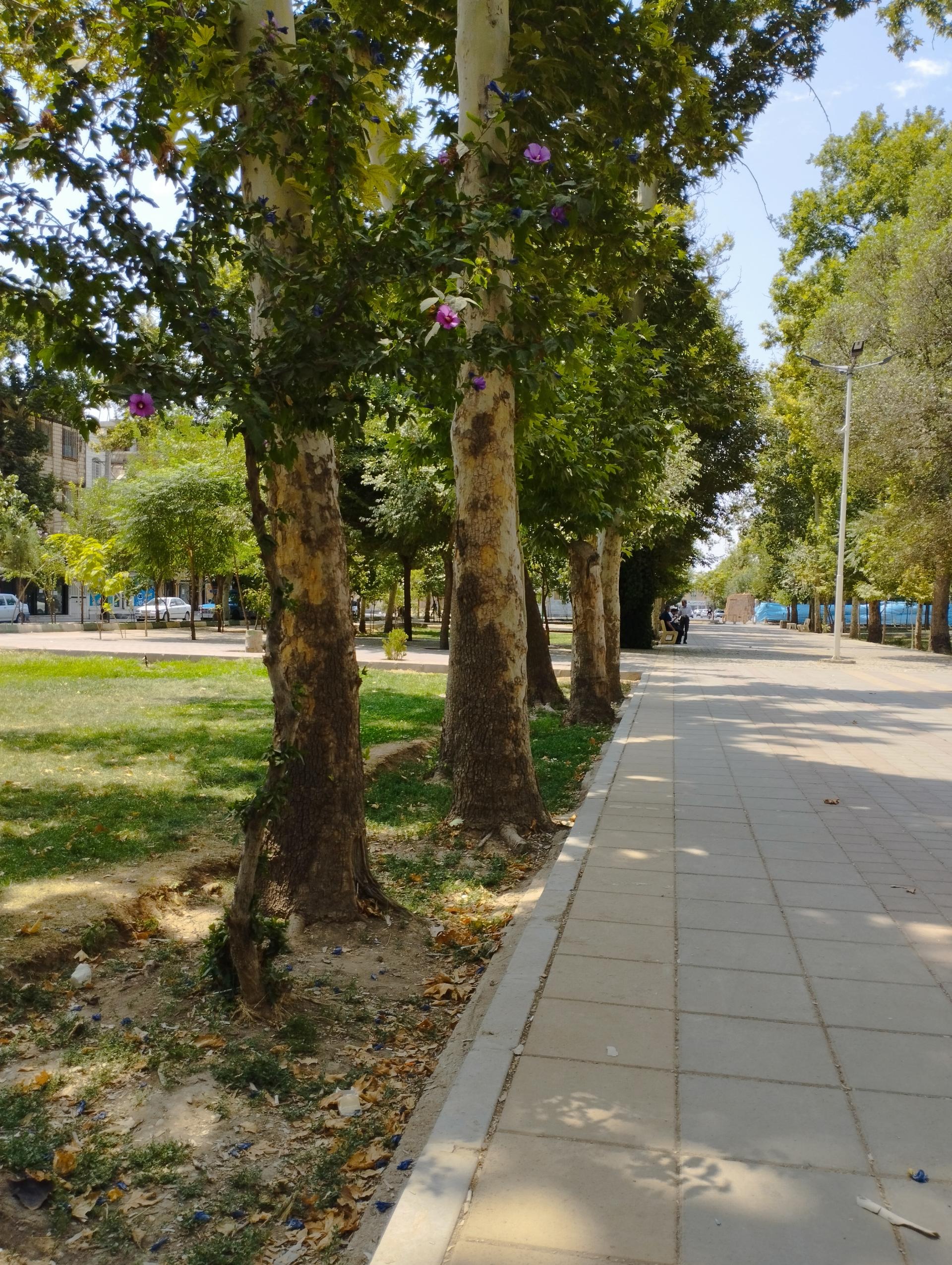 عکس پارک کارگر