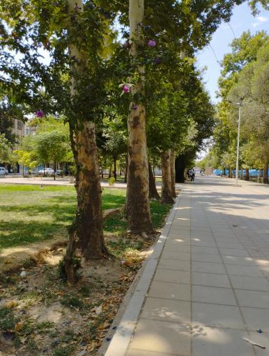 عکس پارک کارگر