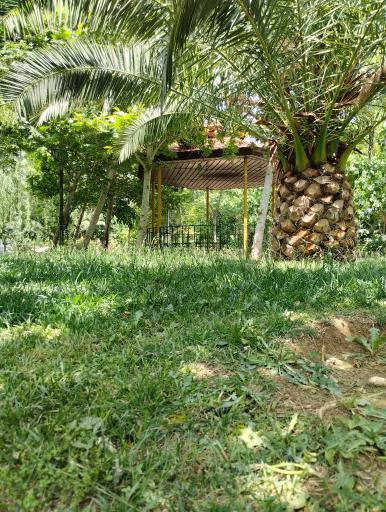 عکس بوستان افرا