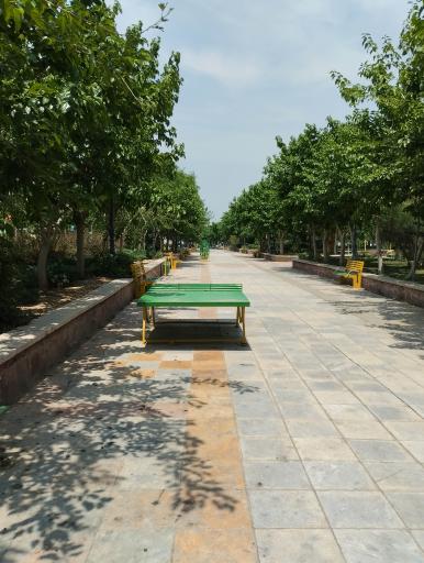 عکس بوستان افرا