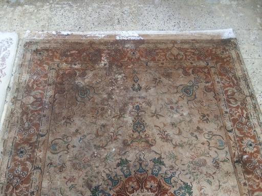 عکس قالیشویی پرسپولیس 