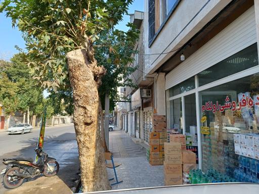 عکس عمده فروشی اولکام 