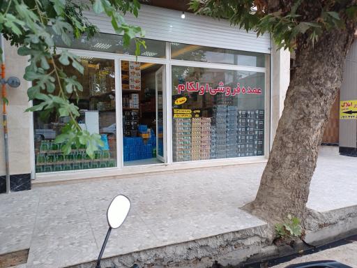 عکس عمده فروشی اولکام 