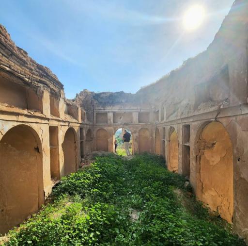 عکس مخروبه های خانه پاپهن