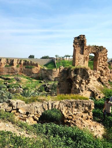 عکس مخروبه های خانه پاپهن