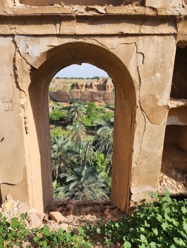 عکس مخروبه های خانه پاپهن