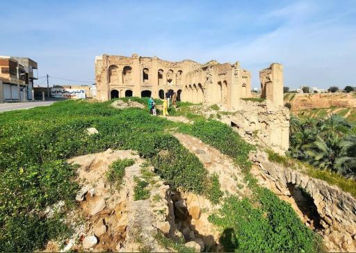 عکس مخروبه های خانه پاپهن