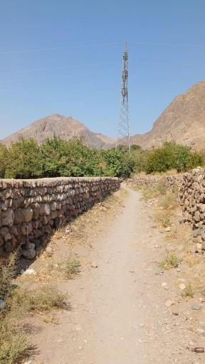 عکس داوران