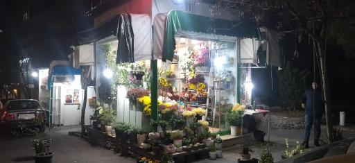 عکس گلکده وزرا