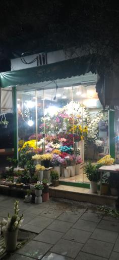 عکس گلکده وزرا