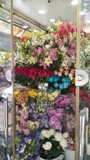 عکس گلکده وزرا