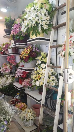 عکس گلکده وزرا