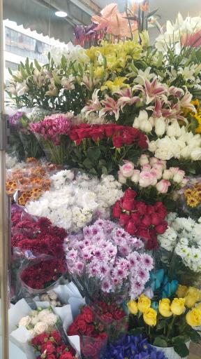 عکس گلکده وزرا