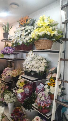 عکس گلکده وزرا