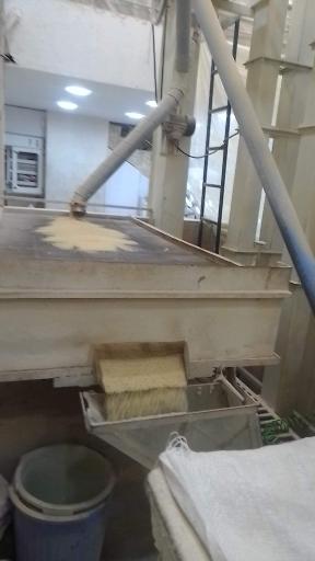 عکس عرضه مستقیم برنج کرباسی اهری