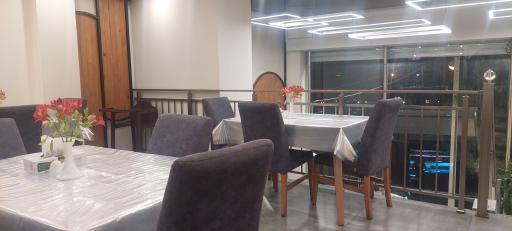 عکس اکبر جوجه شعبه کاوه 