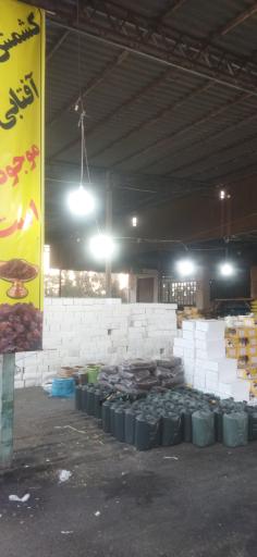 عکس کشمش سام تاک