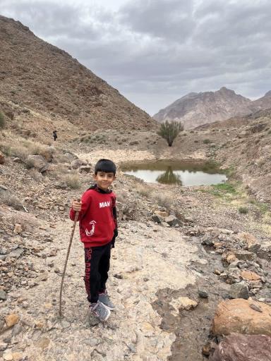 عکس داوران