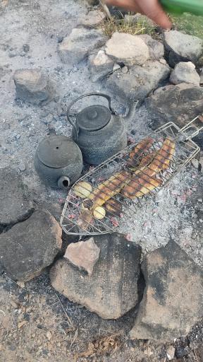 عکس کافه رستوران وانیلا