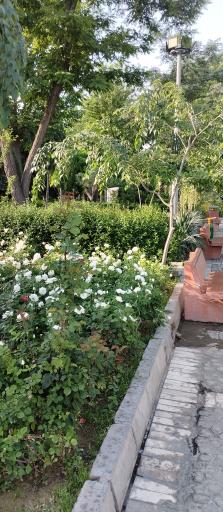 عکس بوستان بهاران