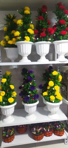 عکس بازرگانی رهبری