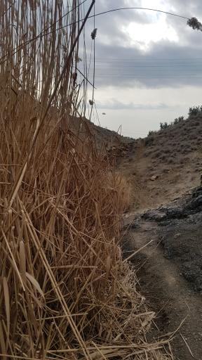 عکس چشمه سار امید