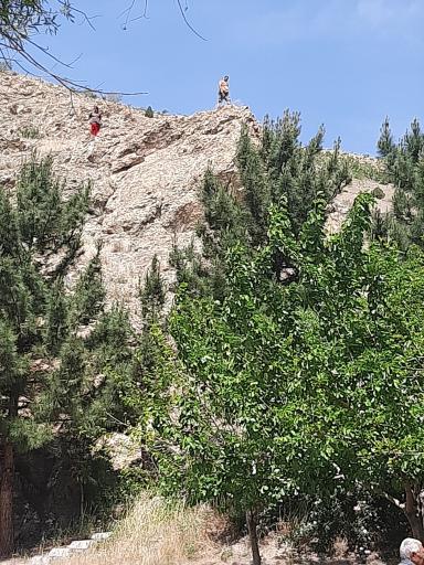 چشمه سار امید