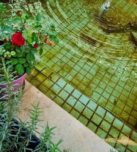 عکس کافه خونه ما